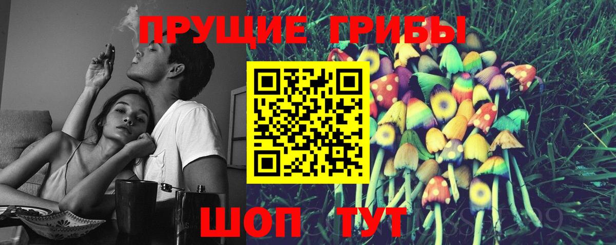 Галлюциногенные грибы Psilocybine cubensis  Вход с VPN  Псилоцибиновые грибы прущие грибы  Гагарин 